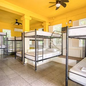 Dormitory Room Mixed